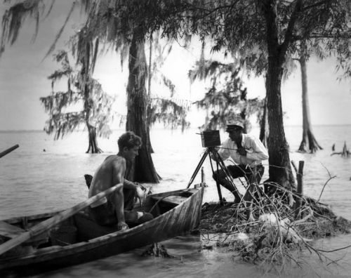 lg-photographer-fonville-winans-filming-on-south-shore-of-lake-palourde-in-saint-mary-parish-in-the-1930s